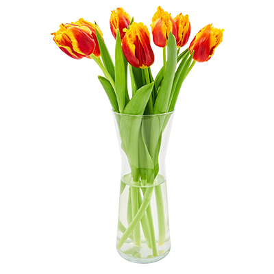 flower-pot