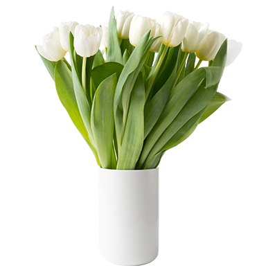 flower-pot