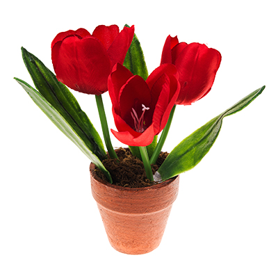 flower-pot