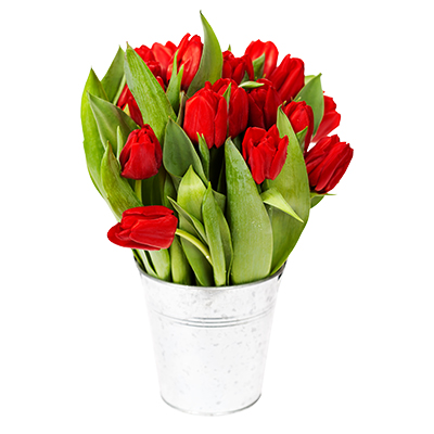 flower-pot