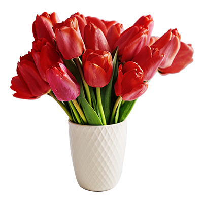flower-pot